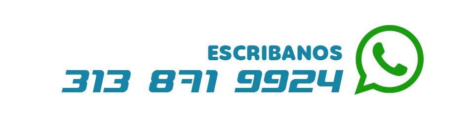 Enviar mensaje a WhatsApp